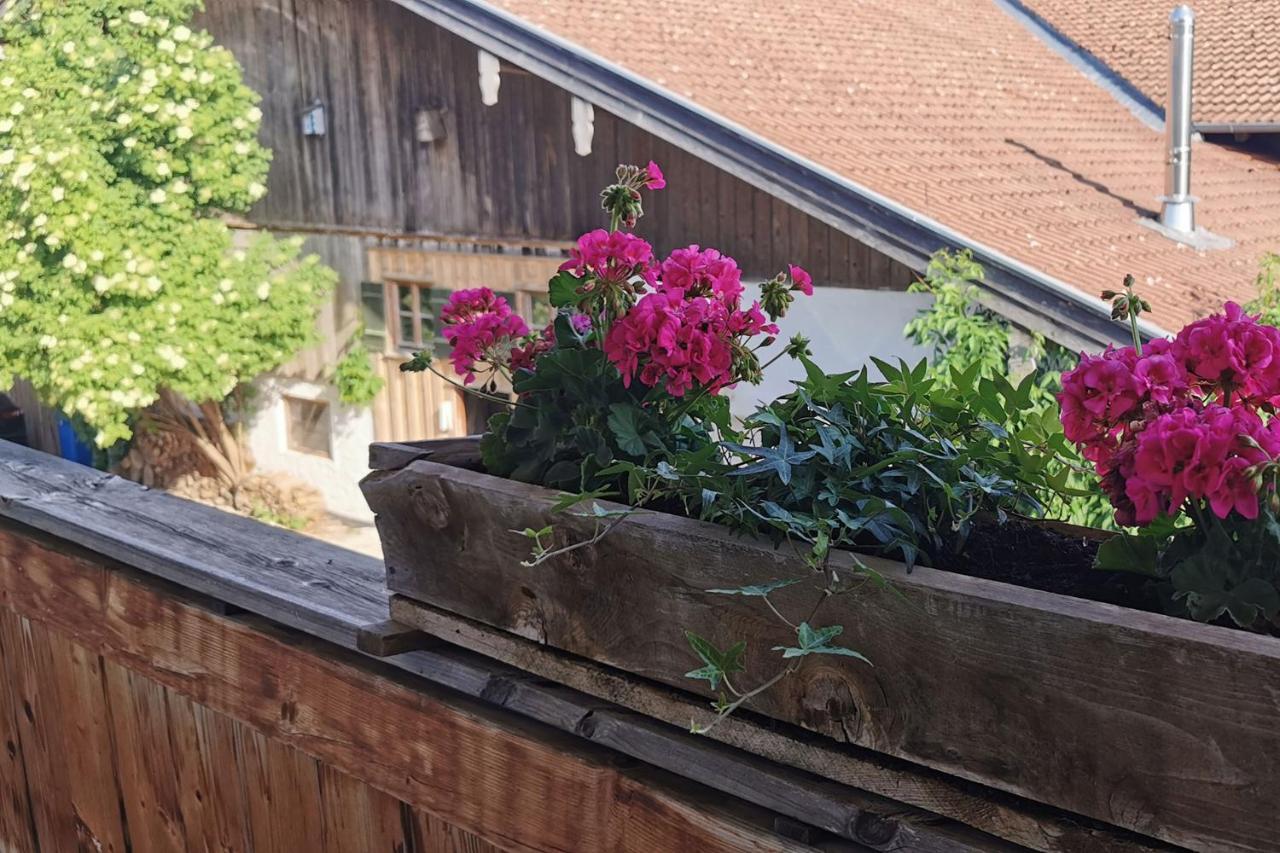 Green Hills Appaloosa Ranch Waakirchen المظهر الخارجي الصورة